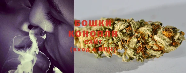 ГАЛЛЮЦИНОГЕННЫЕ ГРИБЫ Армянск