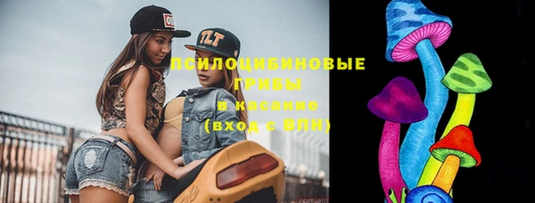 ГАЛЛЮЦИНОГЕННЫЕ ГРИБЫ Армянск