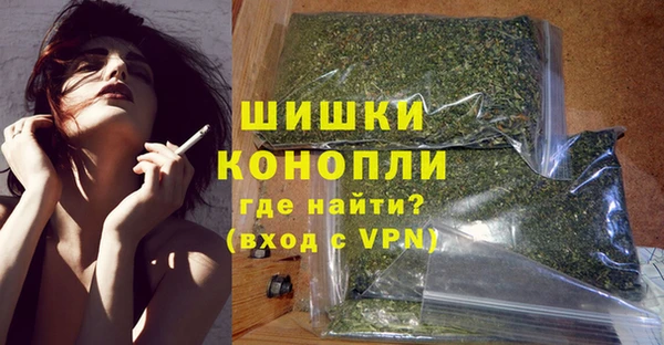 эйфоретик Арсеньев