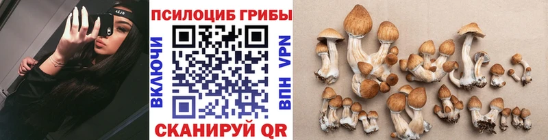 Псилоцибиновые грибы прущие грибы Белокуриха